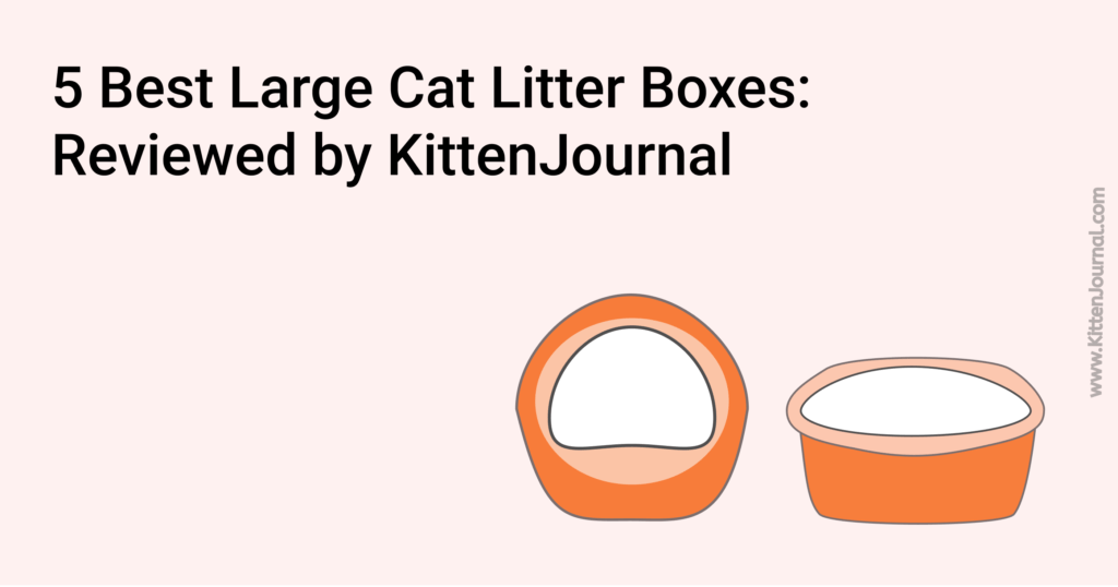 The Top 5 Litter Boxes For Large Cats