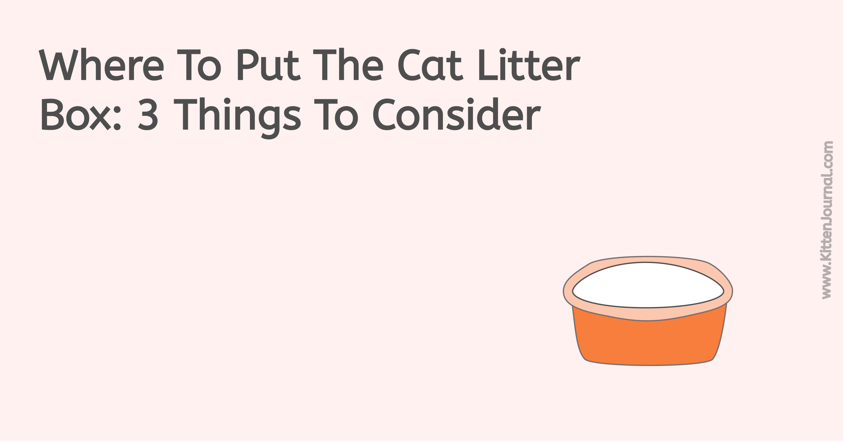 Where To Put The Cat Litter Box