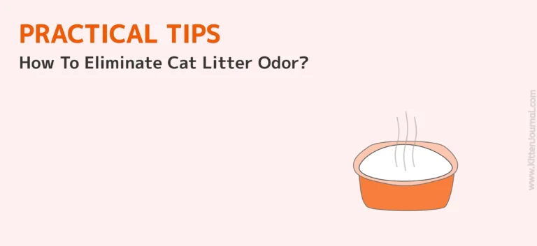 how to eliminate cat litter odor