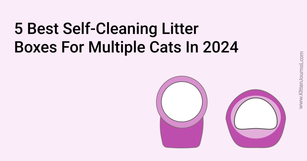 Best Self-Cleaning Litter Boxes For Multiple Cats In 2024
