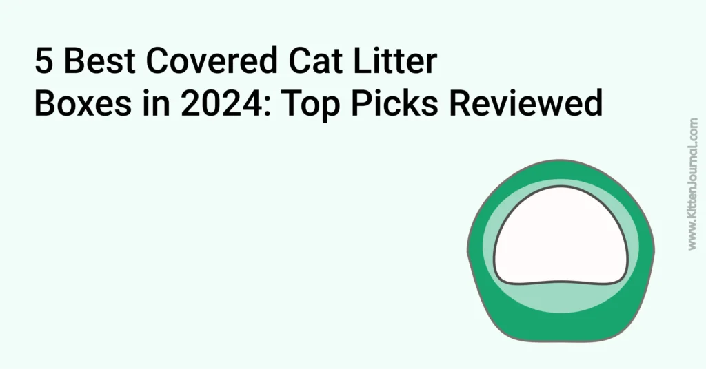 Best Covered Cat Litter Boxes in 2024