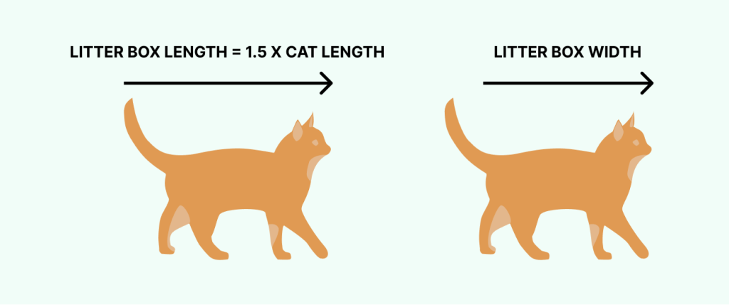 Cat litter box size