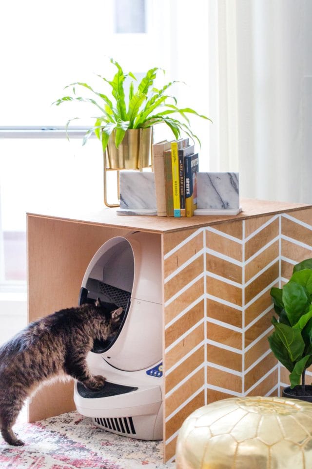Litter Box covered with Patterned Plywood Cover