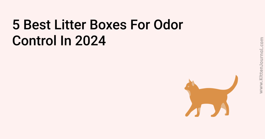 Best Litter Boxes For Odor Control In 2024