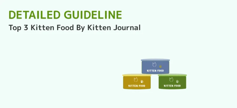 what cat food is best for kittens? Top 3 Kitten Food In 2024