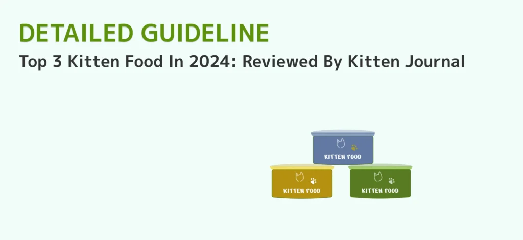 what cat food is best for kittens? Top 3 Kitten Food In 2024