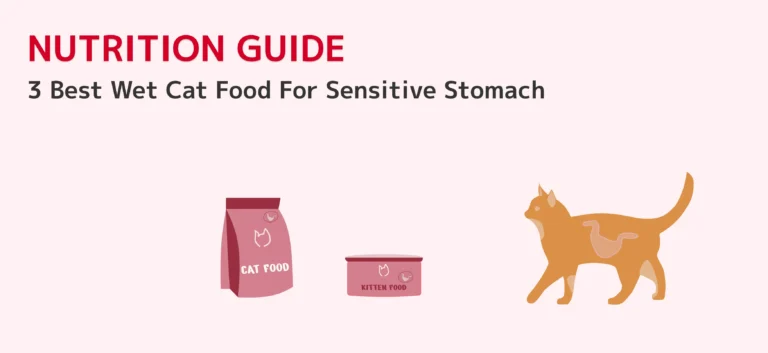 Best Wet Cat Food For Sensitive Stomach