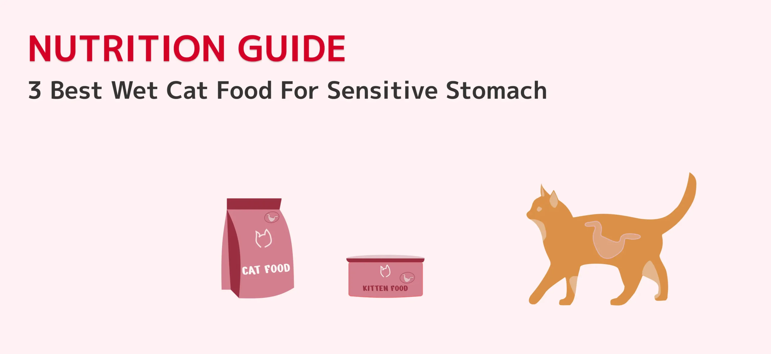 Best Wet Cat Food For Sensitive Stomach