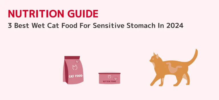 Best Wet Cat Food For Sensitive Stomach