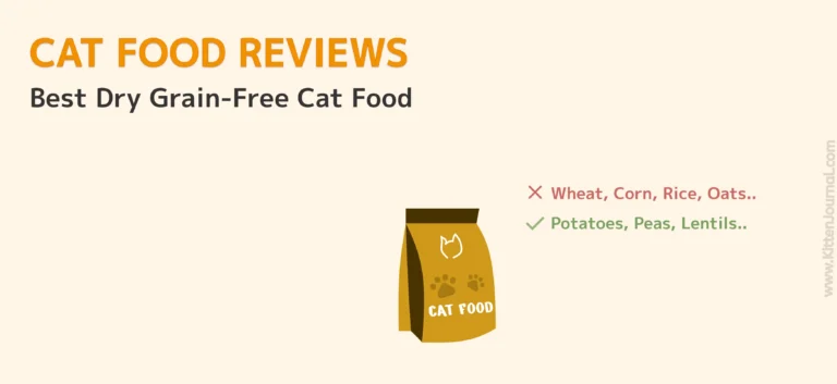 Top Dry Grain-Free Cat Food In 2025